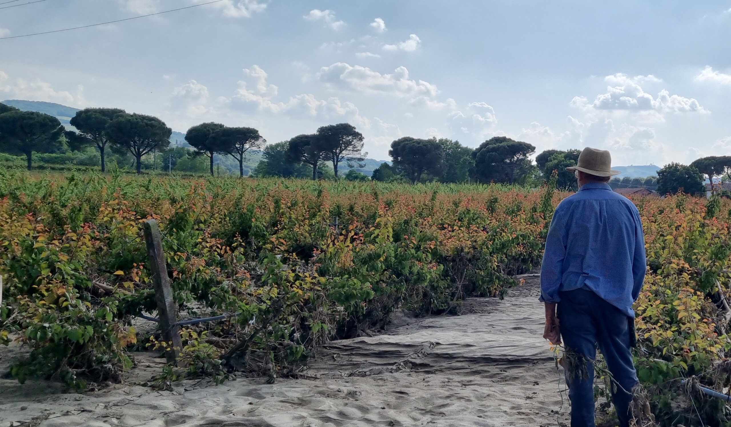 Ricostruzione post-alluvione: l’Ordine analizza l’ultima ordinanza commissariale